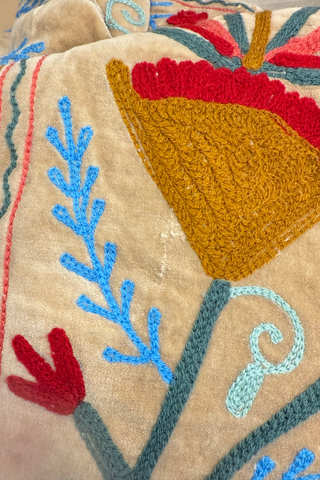 Embroidered Velvet Collared Jacket - Beige (Slightly Imperfect)